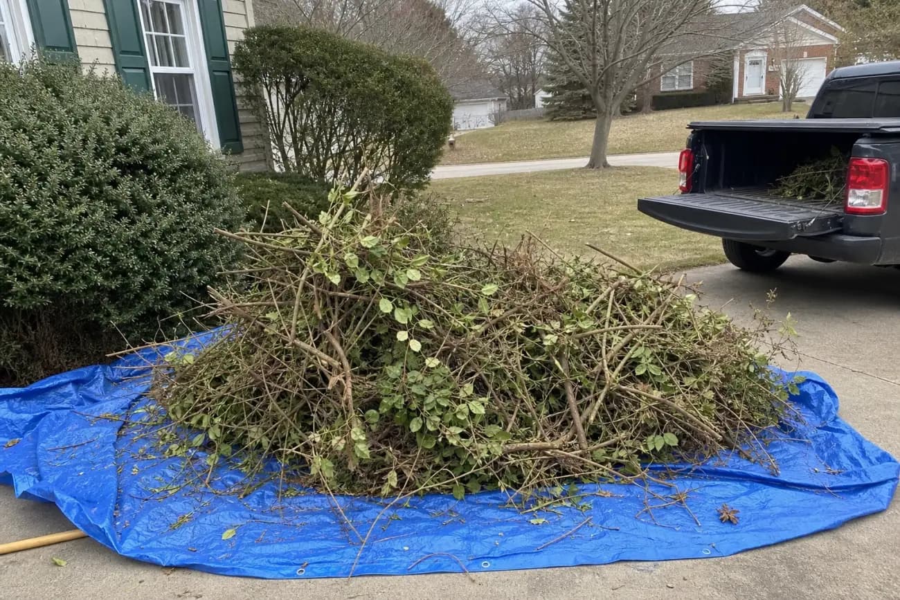 Old shrub removal pile on a tarp during bed refresh work