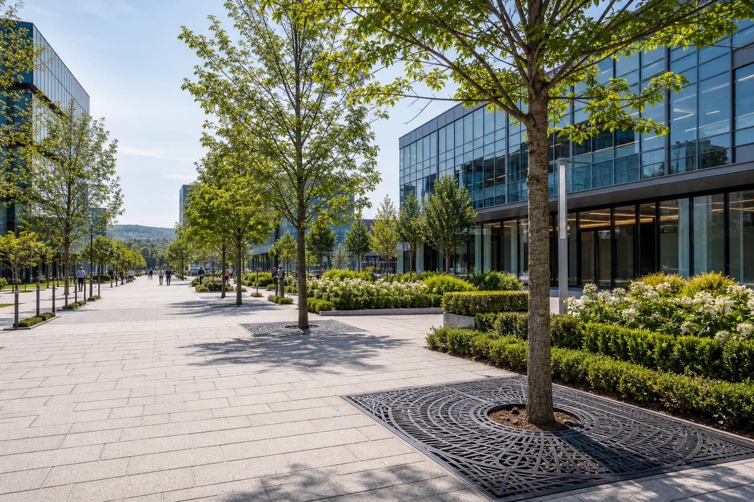 Office park walkway landscape planting for a managed commercial property