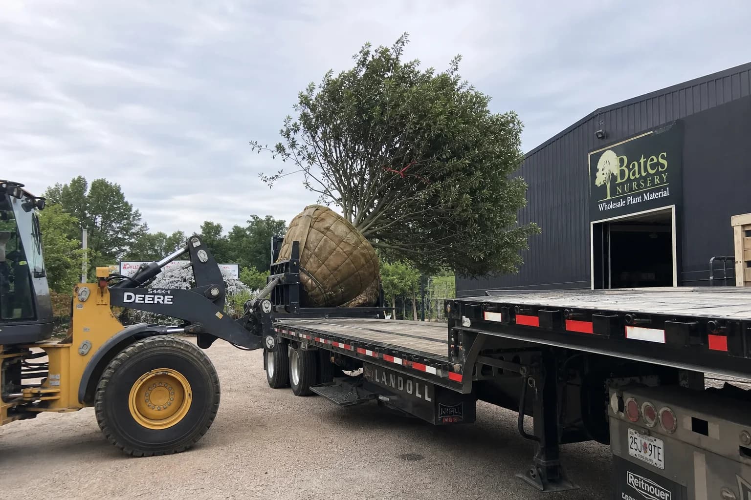 Nursery trees and shrubs being loaded for delivery to a planting project