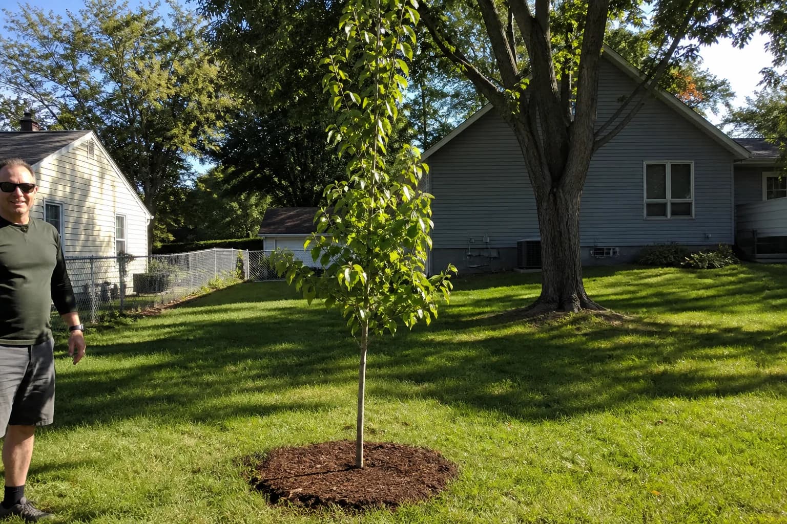 Residential shade tree planting area showing the long-term benefit of properly placed trees