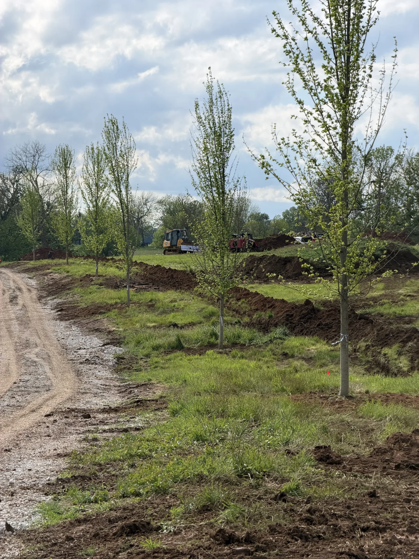Large-scale tree installation with equipment on an open property