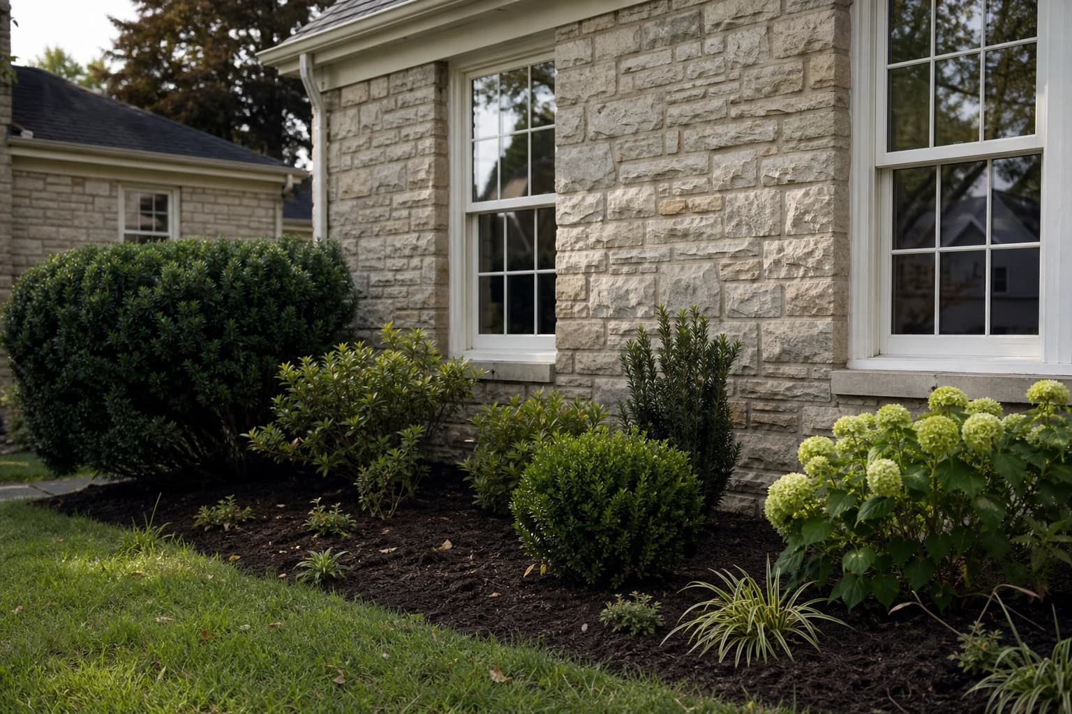 Foundation shrubs planted below the windows of a stone home