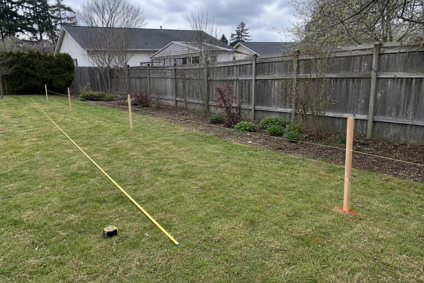 Privacy tree quantity planning guide hero image for Big Tree Planting Co.