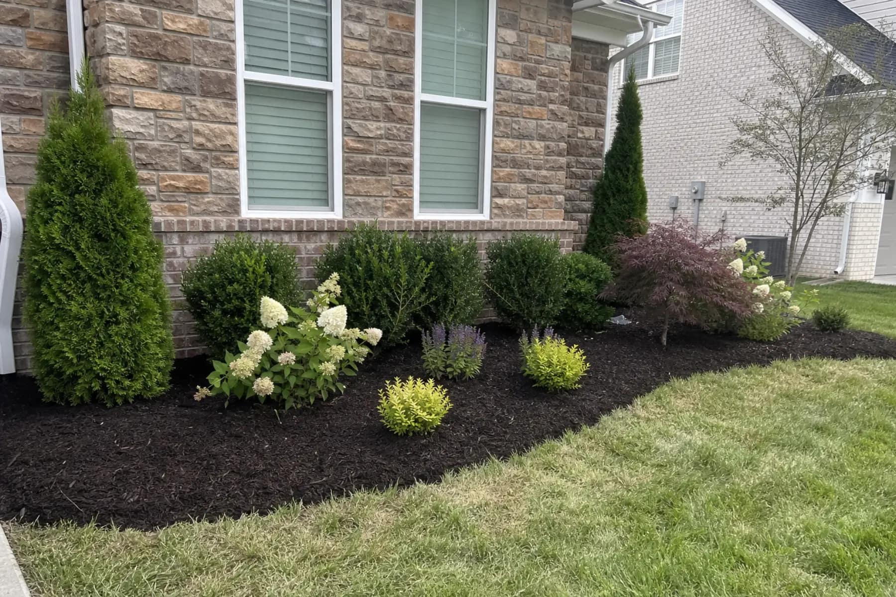 Finished foundation bed with newly planted shrubs and mulch