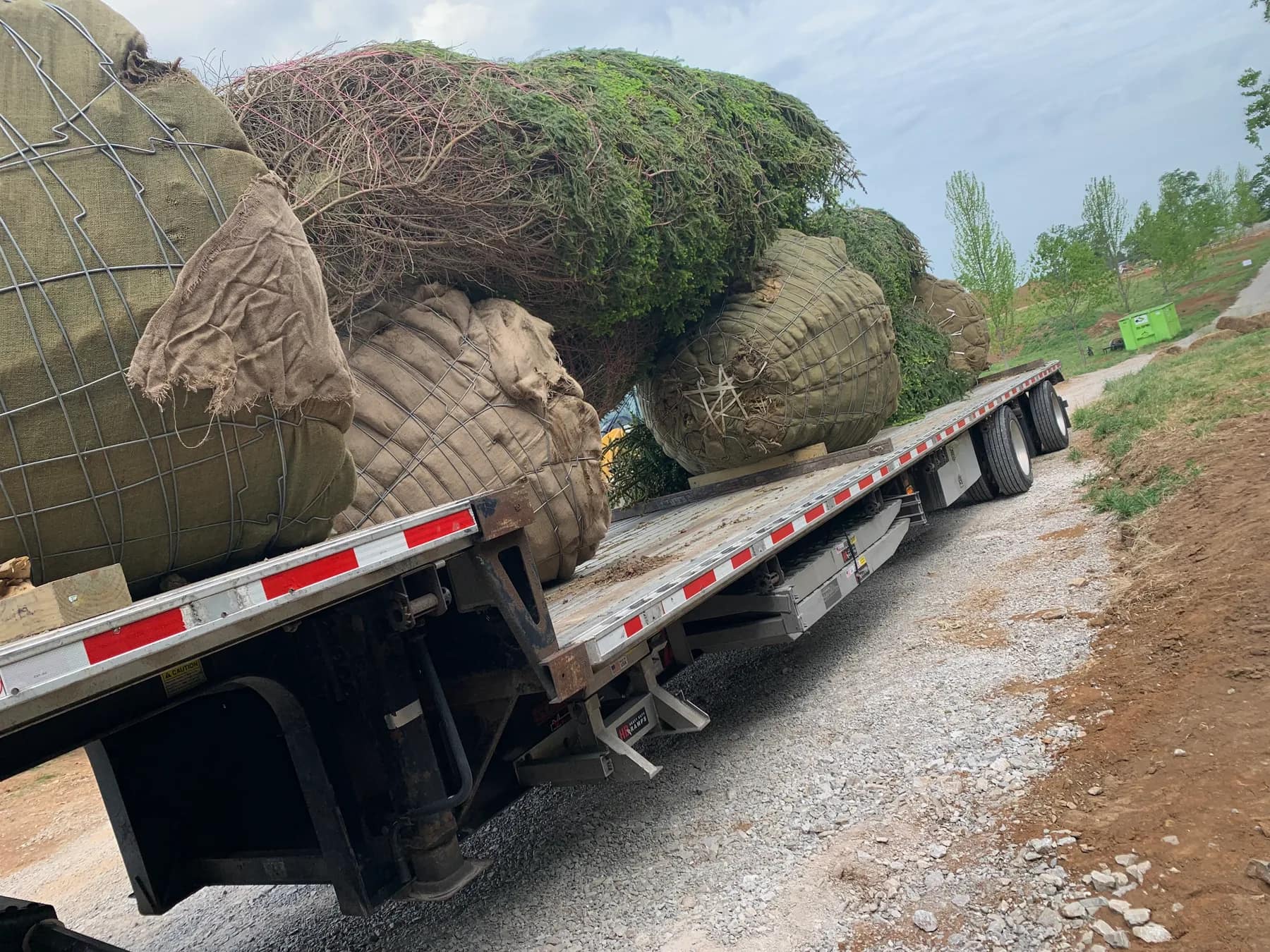 Tractor-trailer carrying large balled-and-burlapped trees for a Kentucky planting project