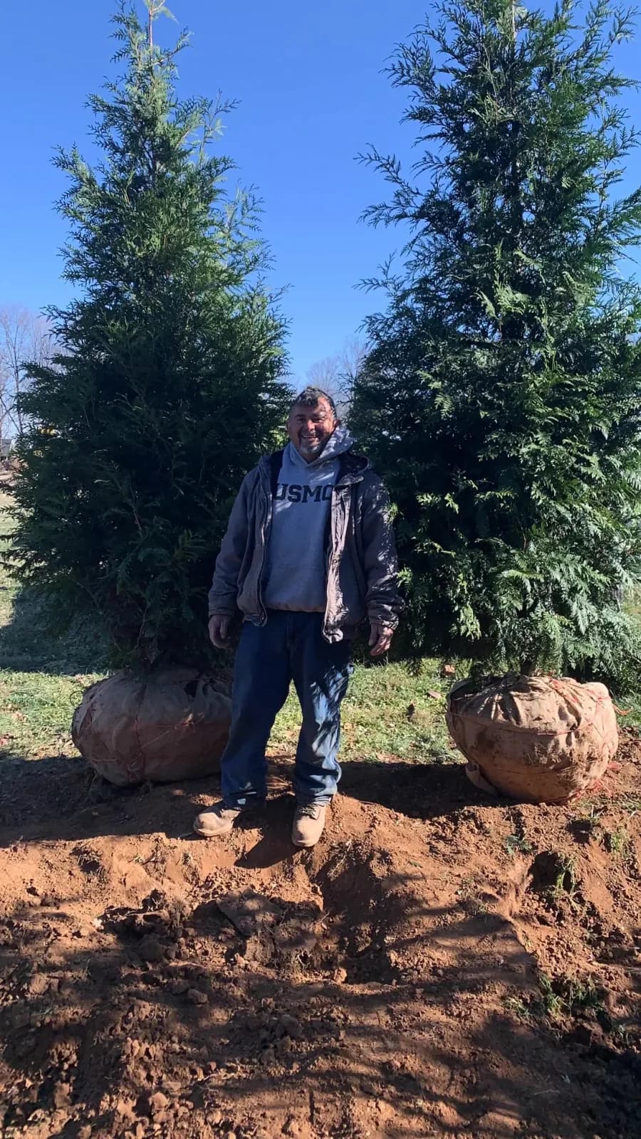 Orlando standing between balled and burlapped arborvitae trees ready for planting