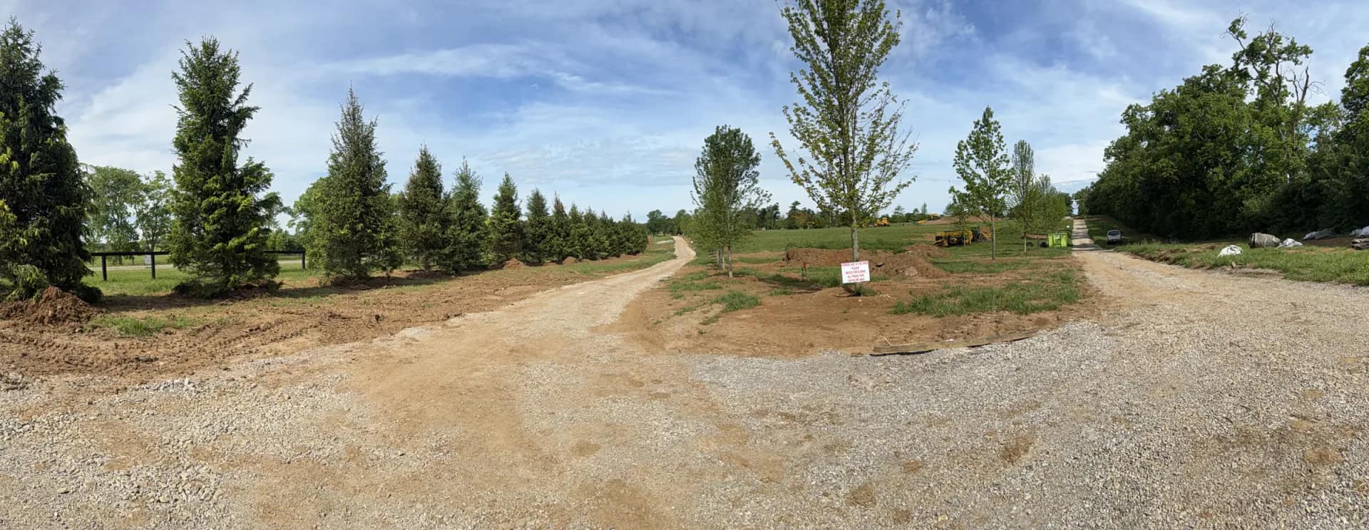 Completed 113-tree farm planting in Paris, Kentucky with Norway spruce and deciduous tree rows along two drives