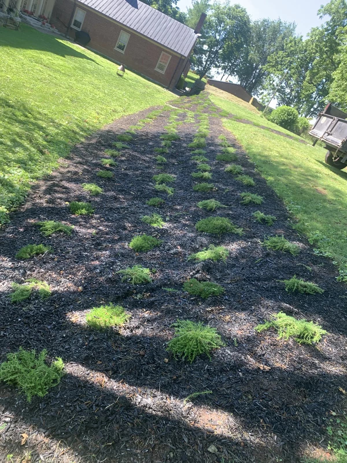Completed hillside planting bed beside a farmhouse near Paris, Kentucky