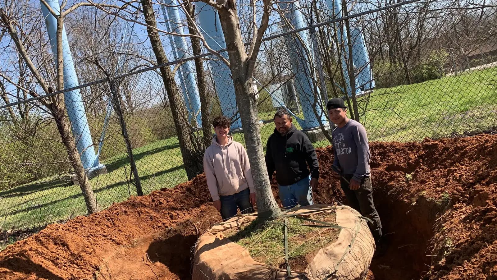 Large sugar maple planted at a Kentucky wedding venue