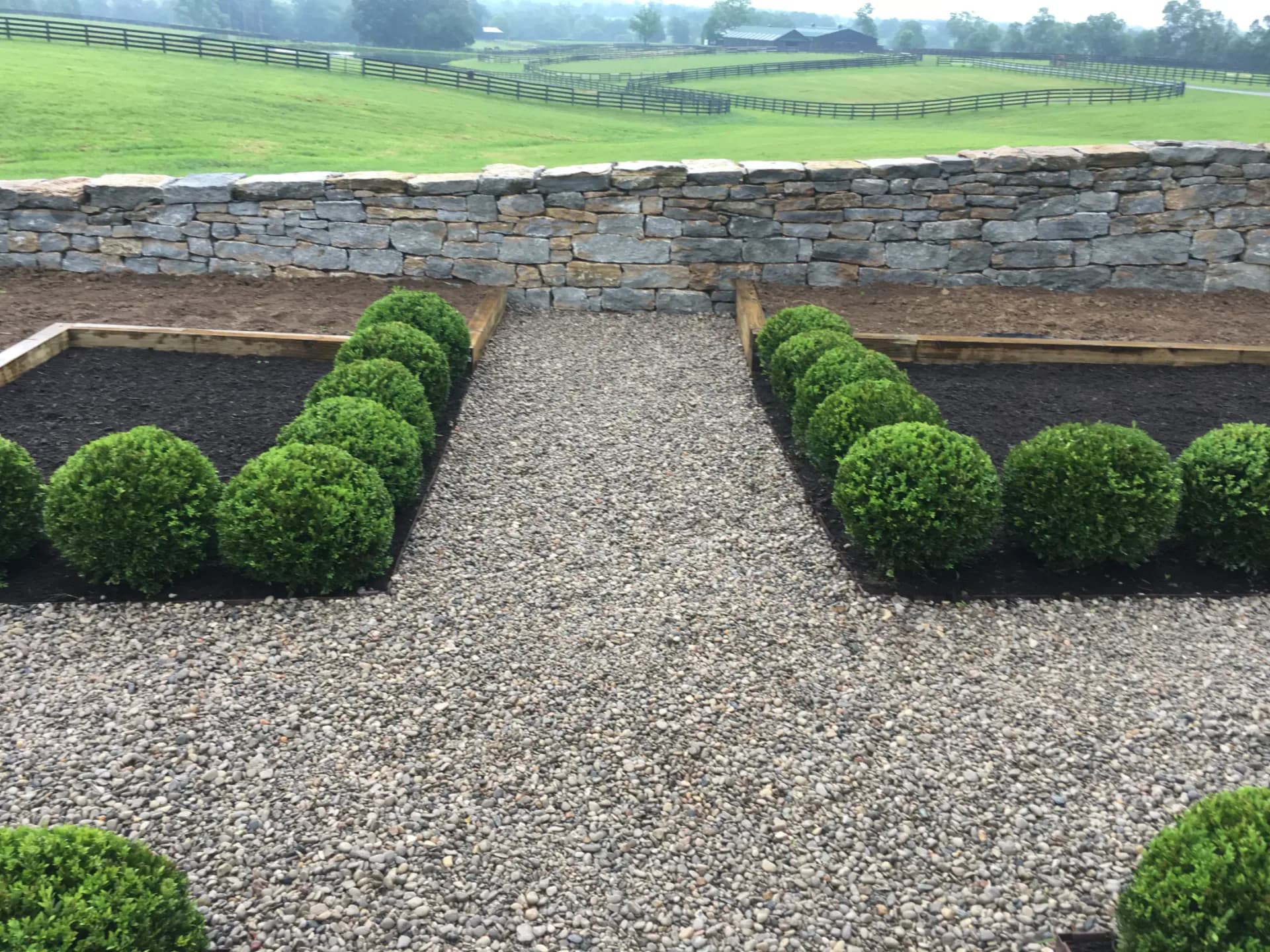 Boxwood-style shrub planting along a gravel walkway and wood-framed garden bed