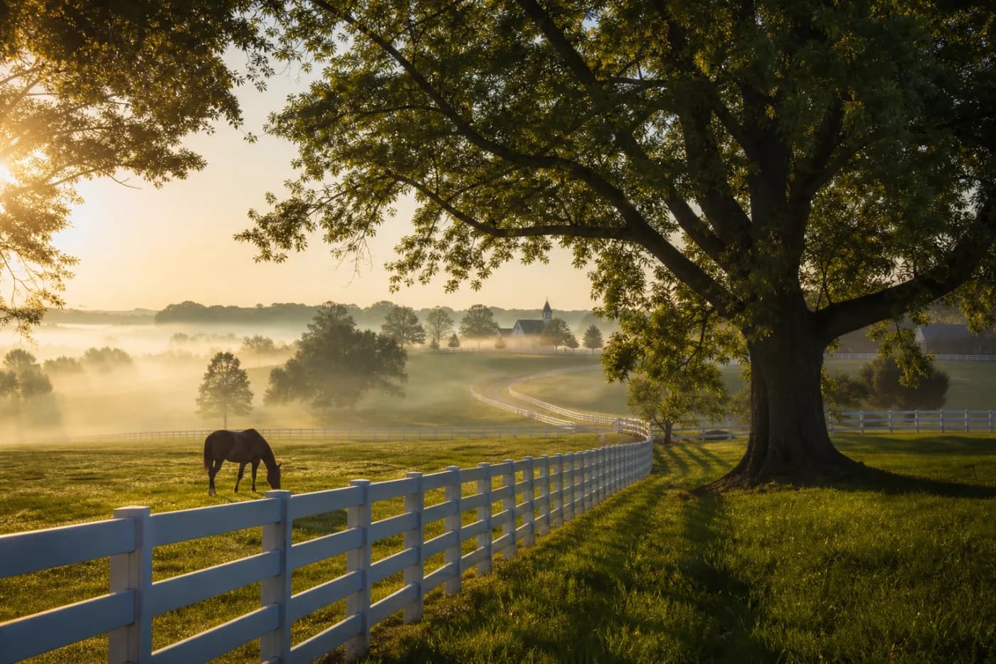 Tree-lined horse farm landscape representing Versailles and Woodford County