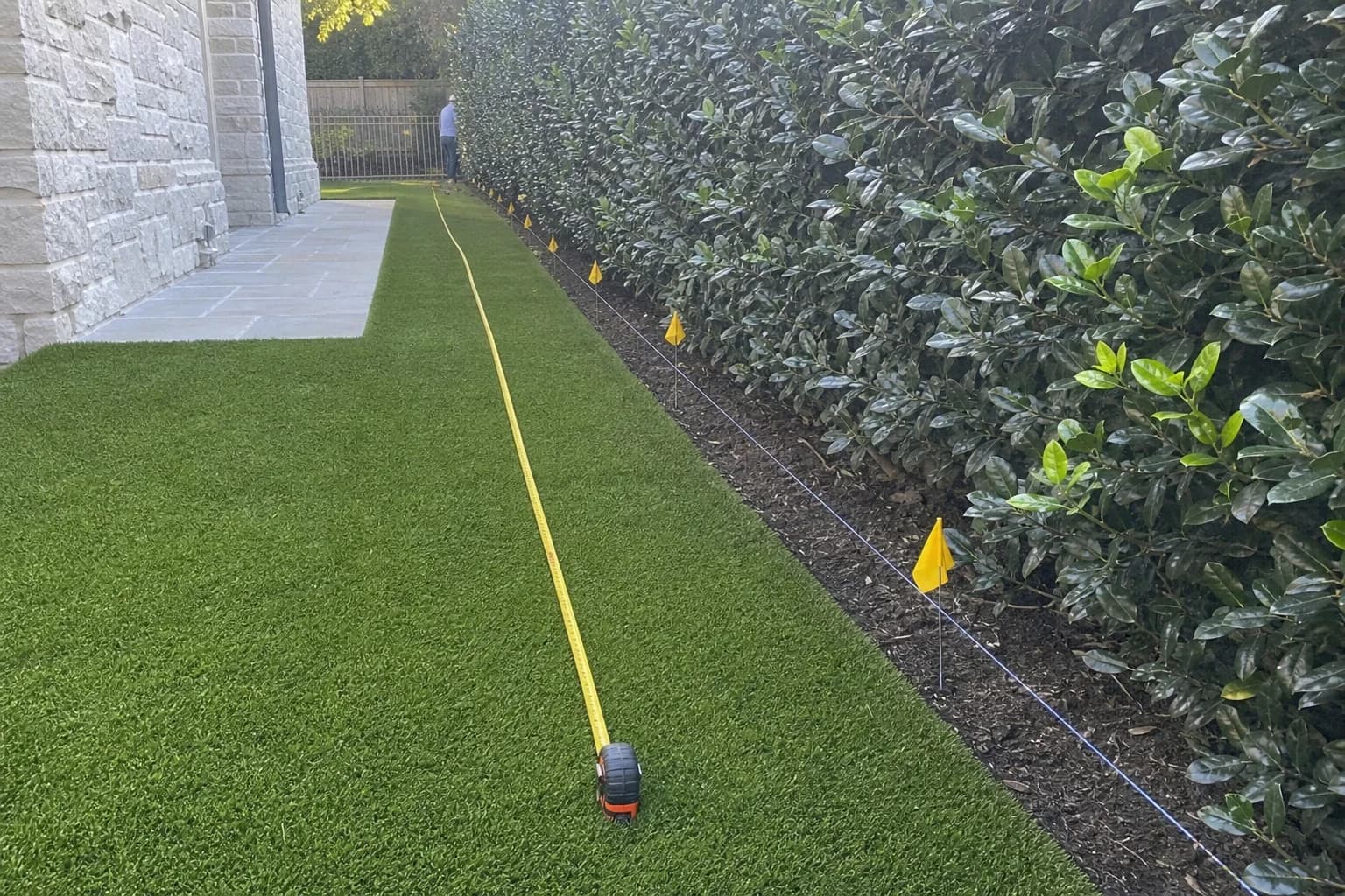 Tape line used to plan spacing for an evergreen privacy row