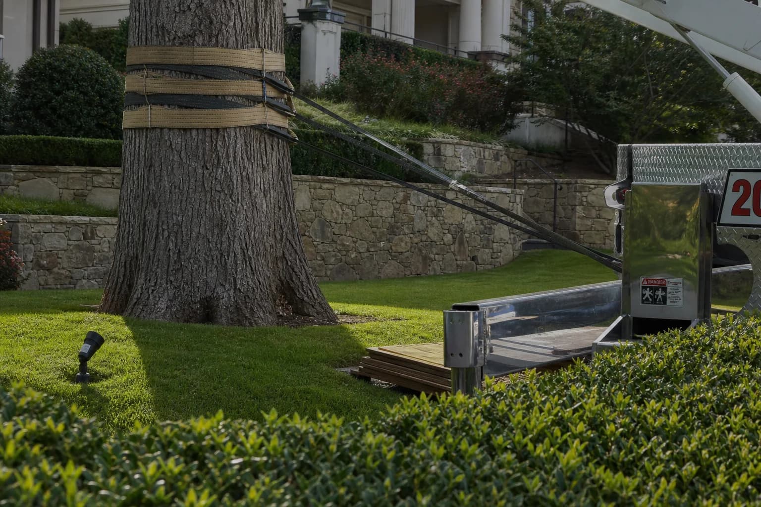 Equipment and straps used to handle a large tree during installation